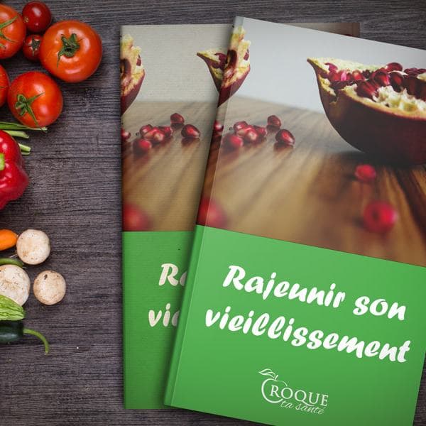 Illustration ebook Rajeunir son vieillissement de Manon Astier sur l'équilibre alimentaire par une diététicienne nutritionniste